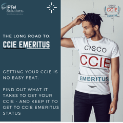 The Long Road to CCIE Emeritus (Instagram)