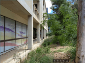 Side view of the AP placement with foliage in front of the building
