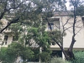 Tree in front of a building-mounted outdoor access point